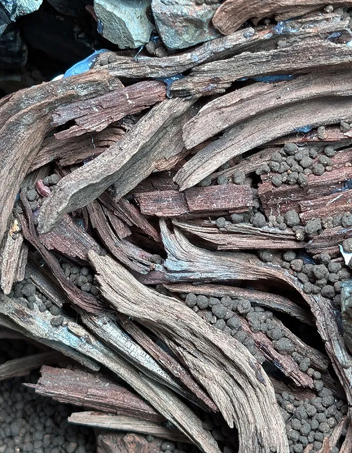 Aquascaping steps - PRIMAL BUST - IAPLC 2025 Silver Prize - Katsuki Tanaka / Japan